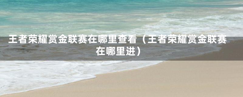 王者荣耀赏金联赛在哪里查看（王者荣耀赏金联赛在哪里进）