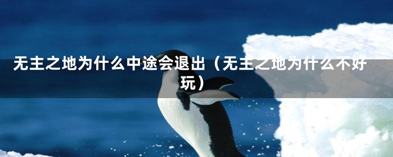 无主之地为什么中途会退出(无主之地为什么不好玩)