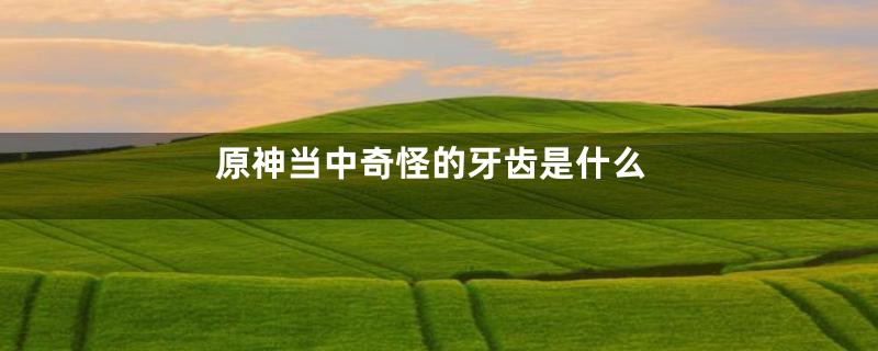 原神当中奇怪的牙齿是什么