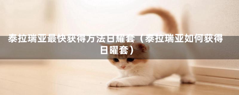 泰拉瑞亚最快获得方法日耀套（泰拉瑞亚如何获得日曜套）