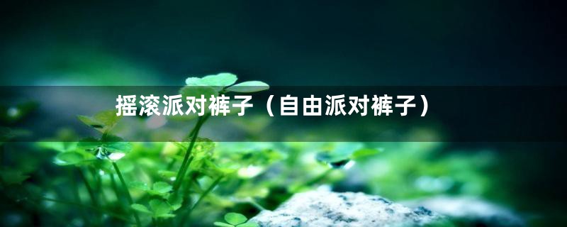 摇滚派对裤子(自由派对裤子)