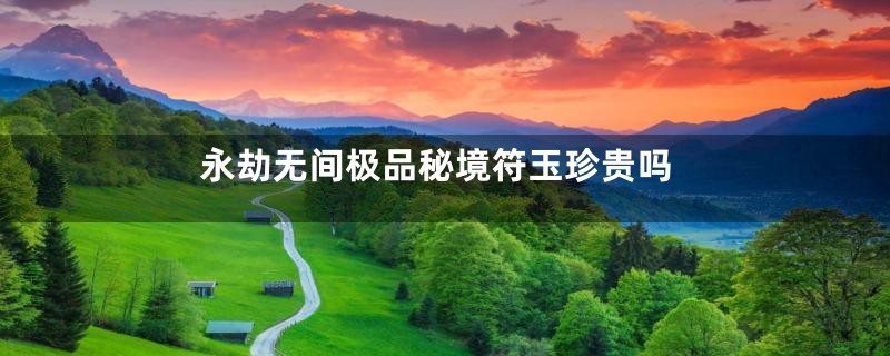 永劫无间极品秘境符玉珍贵吗