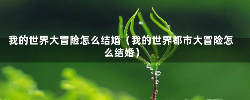我的世界大冒险怎么结婚(我的世界都市大冒险怎么结婚)