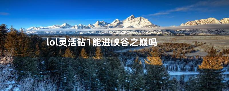 lol灵活钻1能进峡谷之巅吗
