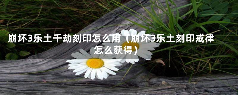 崩坏3乐土千劫刻印怎么用(崩坏3乐土刻印戒律怎么获得)