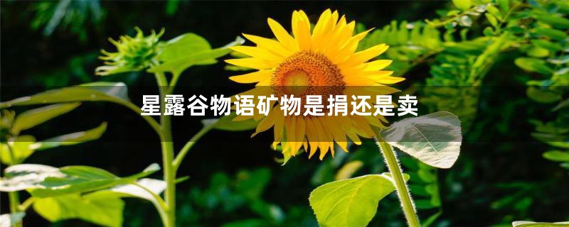 星露谷物语矿物是捐还是卖