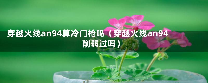 穿越火线an94算冷门枪吗（穿越火线an94削弱过吗）