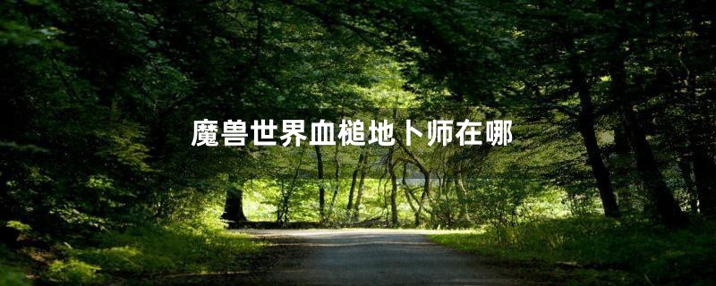 魔兽世界血槌地卜师在哪