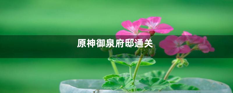 原神御泉府邸通关