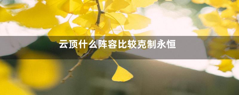 云顶什么阵容比较克制永恒