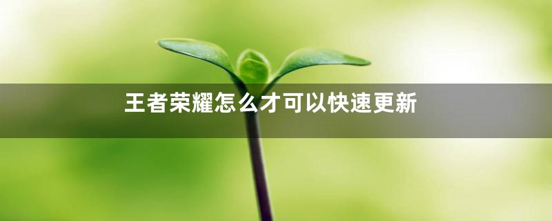 王者荣耀怎么才可以快速更新