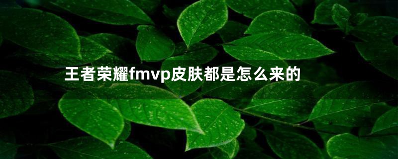 王者荣耀fmvp皮肤都是怎么来的