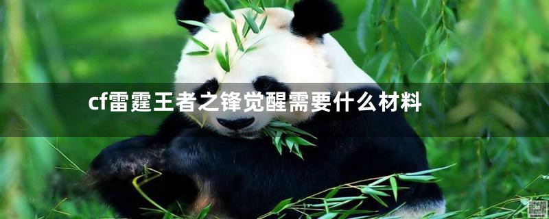 cf雷霆王者之锋觉醒需要什么材料