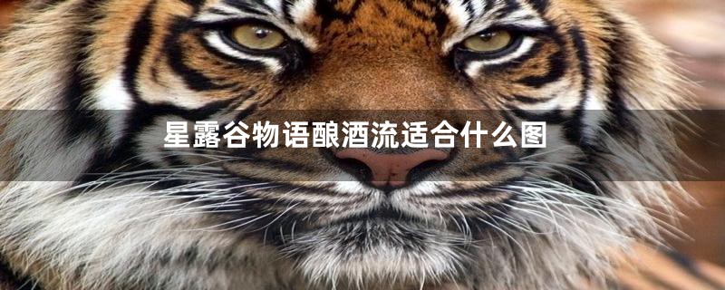 星露谷物语酿酒流适合什么图