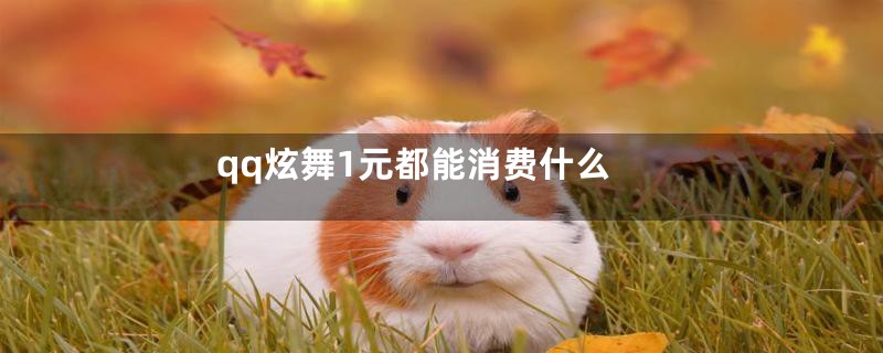 qq炫舞1元都能消费什么