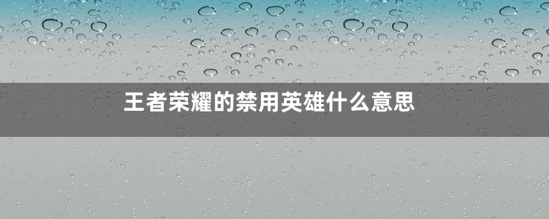王者荣耀的禁用英雄什么意思