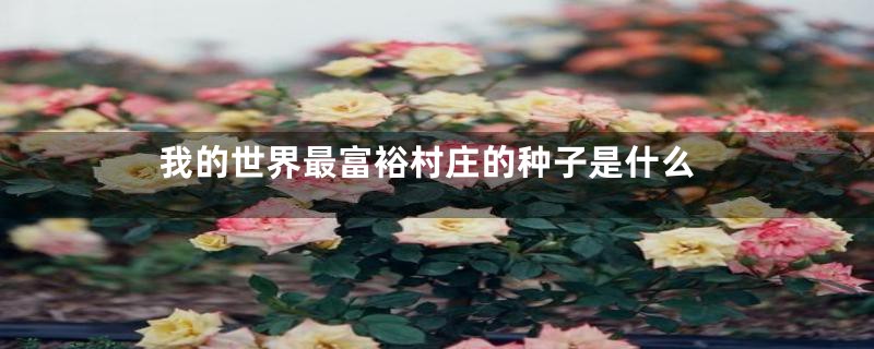 我的世界最富裕村庄的种子是什么