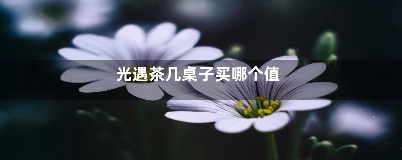 光遇茶几桌子买哪个值