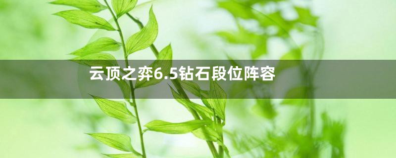云顶之弈6.5钻石段位阵容