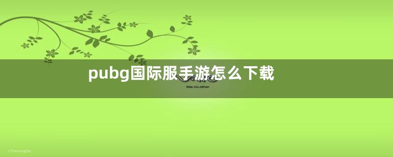 pubg国际服手游怎么下载