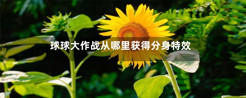 球球大作战从哪里获得分身特效