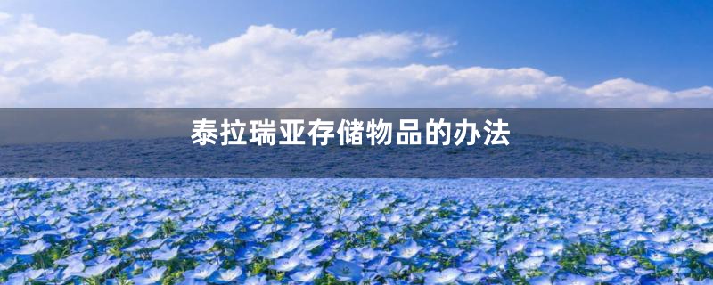 泰拉瑞亚存储物品的办法