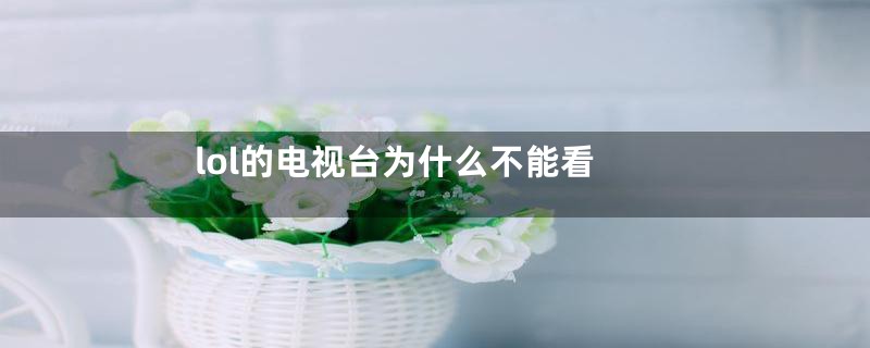 lol的电视台为什么不能看