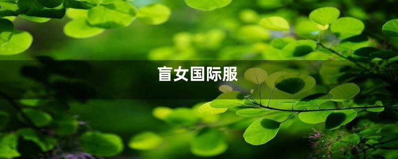 盲女国际服