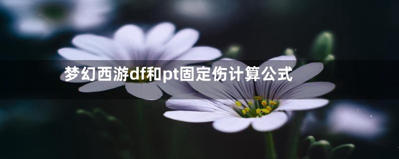 梦幻西游df和pt固定伤计算公式