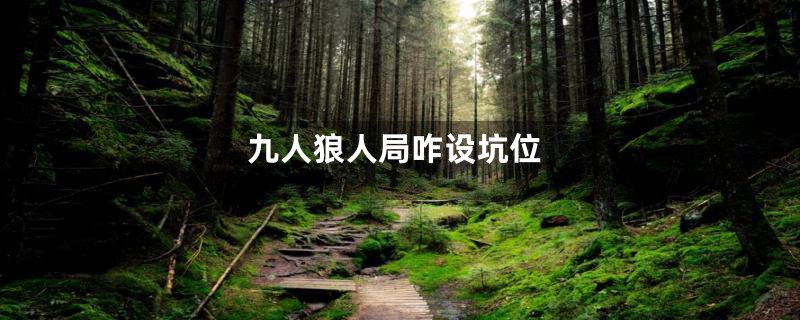 九人狼人局咋设坑位