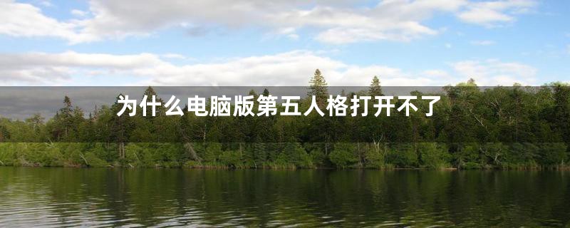 为什么电脑版第五人格打开不了