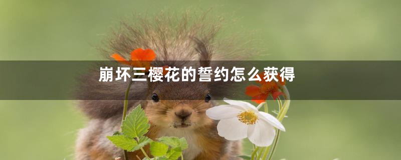 崩坏三樱花的誓约怎么获得
