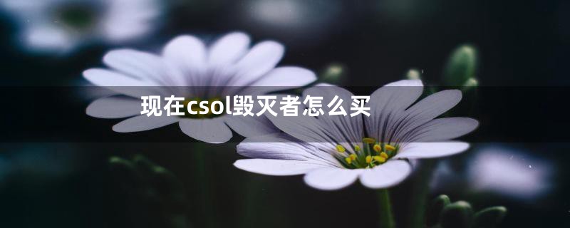 现在csol毁灭者怎么买