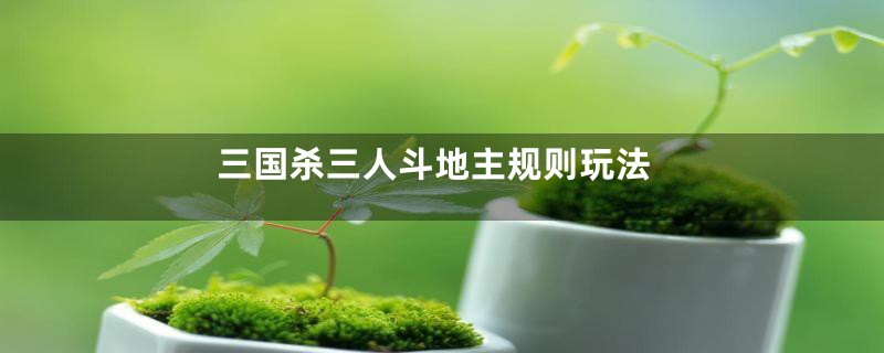 三国杀三人斗地主规则玩法