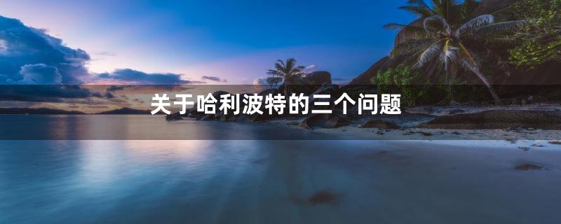 关于哈利波特的三个问题