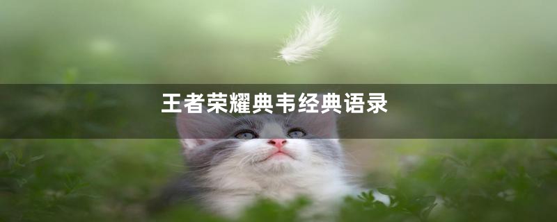 王者荣耀典韦经典语录