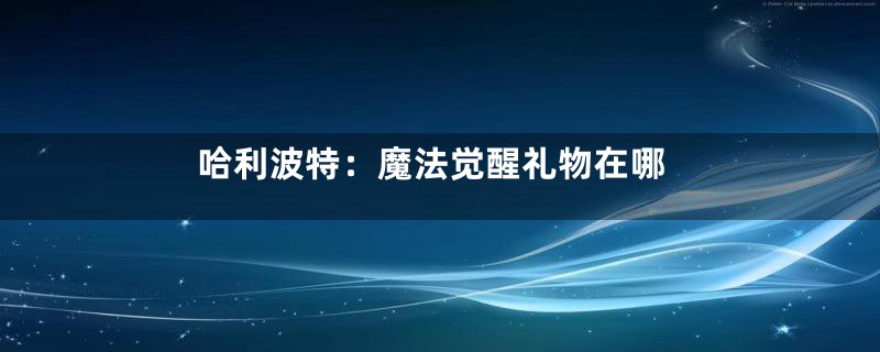 哈利波特：魔法觉醒礼物在哪