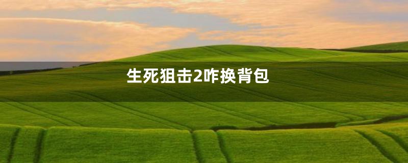 生死狙击2咋换背包