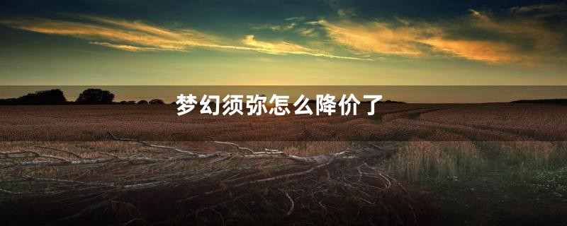 梦幻须弥怎么降价了