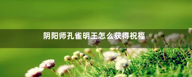 阴阳师孔雀明王怎么获得祝福
