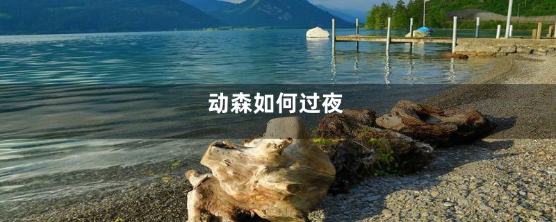 动森如何过夜