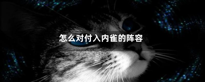 怎么对付入内雀的阵容