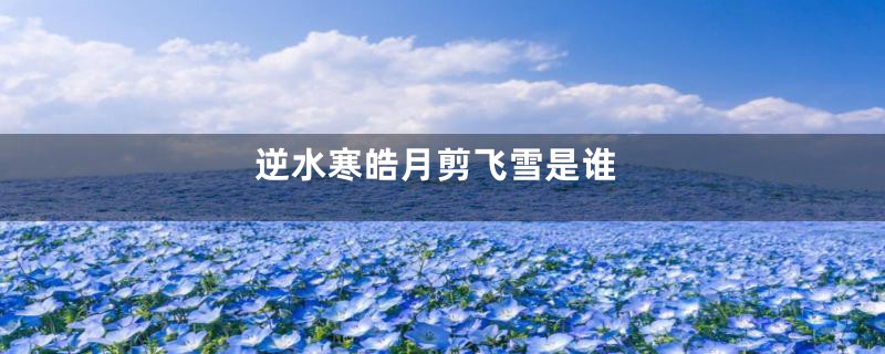 逆水寒皓月剪飞雪是谁