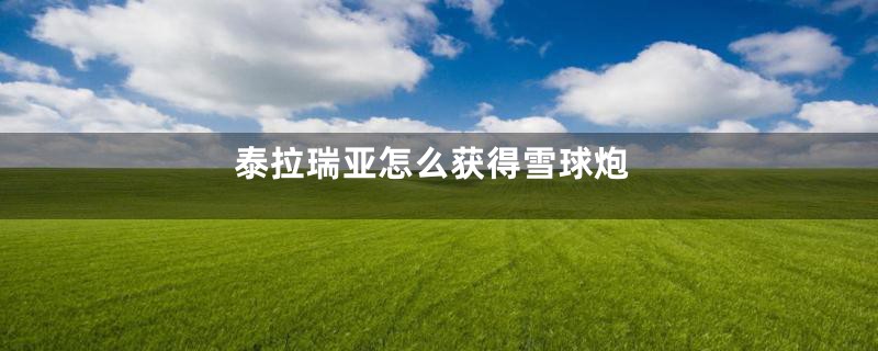 泰拉瑞亚怎么获得雪球炮