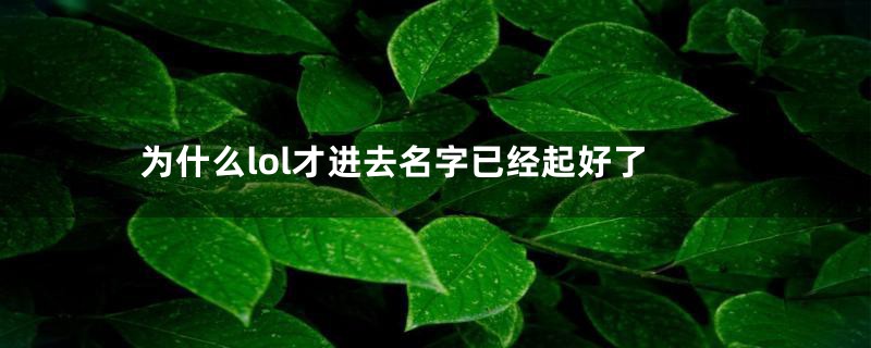 为什么lol才进去名字已经起好了