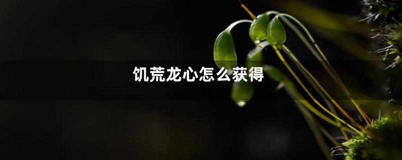 饥荒龙心怎么获得