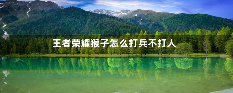 王者荣耀猴子怎么打兵不打人