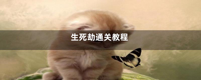 生死劫通关教程
