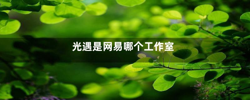光遇是网易哪个工作室