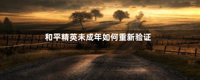 和平精英未成年如何重新验证